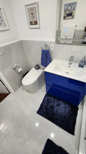 Ultra, elongate tankless bidet Toilet, Floor Mount, White Vitreous China. Celite by Roca Roca