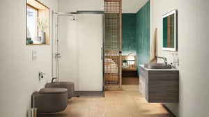 Roca Beyond Wall mounted  Toilet Set. Contemporary toilet. Roca