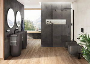 Roca Beyond Wall mounted  Toilet Set. Contemporary toilet. Roca